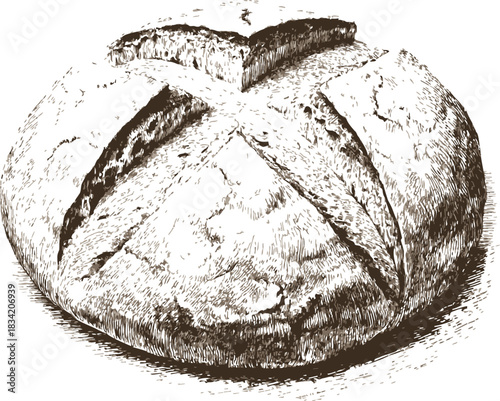 Round artisan bread loaf sketch, hand drawn style, rustic crust with cross scoring. Vector illustration