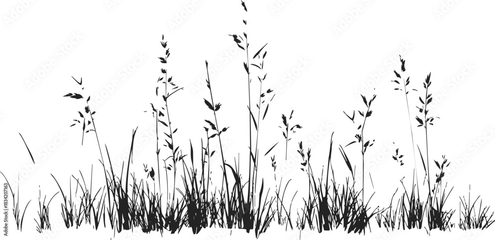 Naklejka premium Grass silhouette sketch, hand drawn wild meadow border with tall blades. Vector illustration