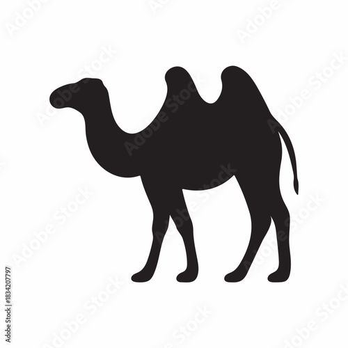 Camel Silhouette Walking