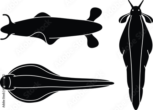 marine life worms and sea slugs set in black and white silhouette design.