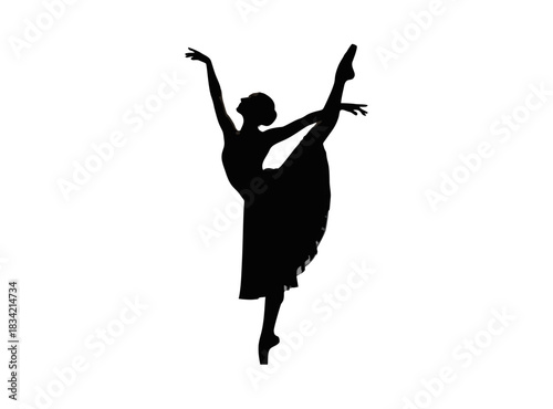ballet dancer silhouette