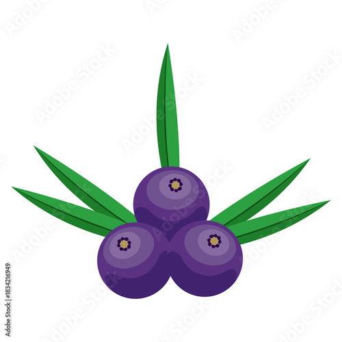 Açai berries with green leaves on a white background.