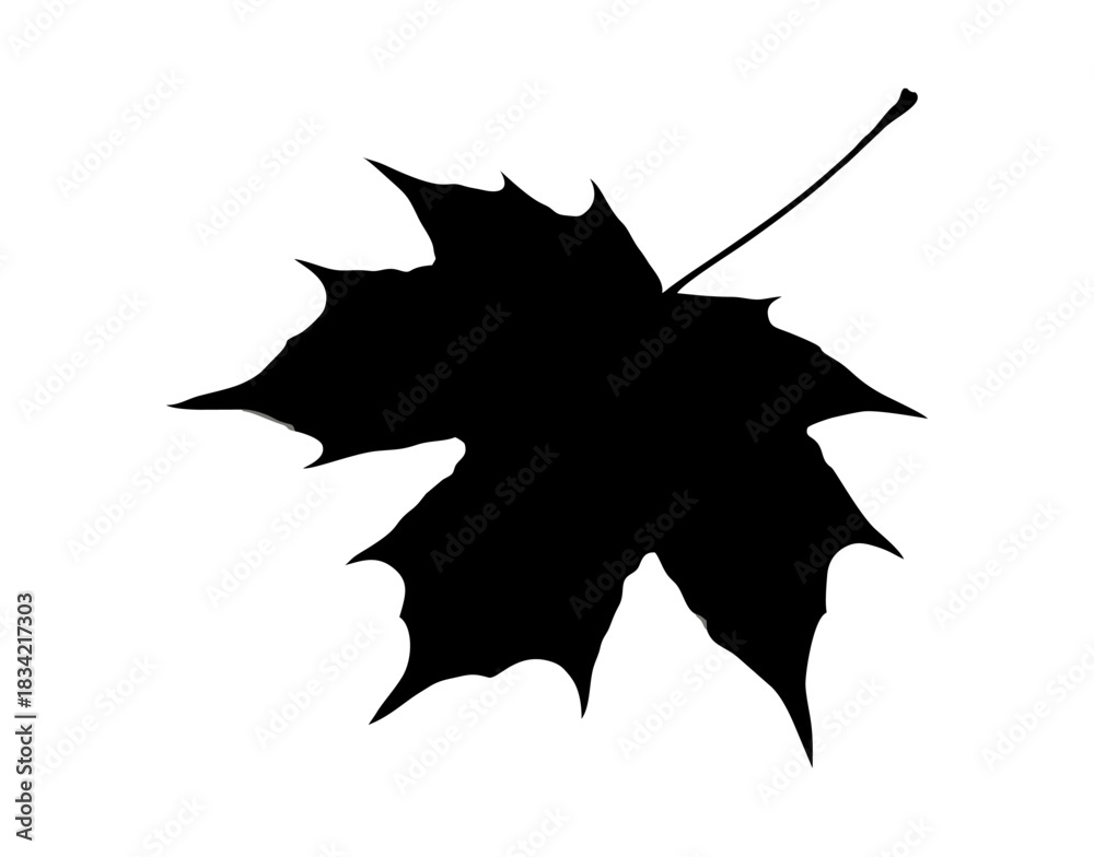 Fototapeta premium maple leaf silhouette