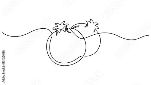 Continuous linear drawing of pomegranate, One line drawing garnet, Happy Shana Tova Fruit contour, Pomegranate in one line style, Abstract minimalistic style, Vector illustration