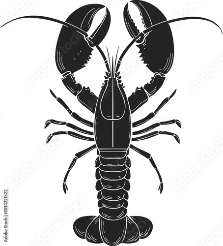 Lobster sketch hand drawn black silhouette detailed crustacean top view. Vector illustration