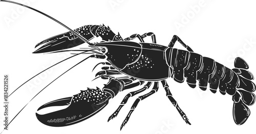 Lobster sketch hand drawn style detailed crustacean with claws and antennae. Vector illustration
