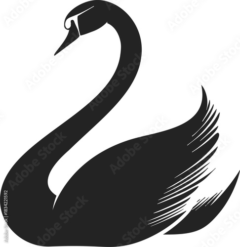 Black swan sketch hand drawn elegant bird with curved neck. Vector illustration
