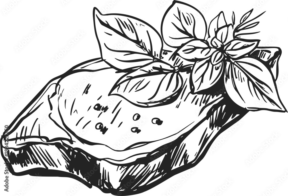 Fototapeta premium Bruschetta sketch hand drawn with basil leaves and tomato topping. Vector illustration