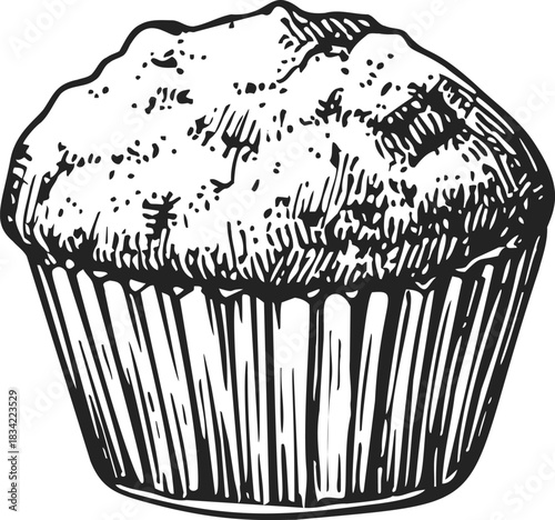 Muffin sketch hand drawn style with textured cupcake liner. Vector illustration