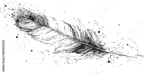 Feather sketch hand drawn with ink splatter and textured details. Vector illustration