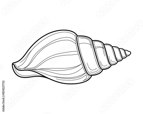 Seashell Outline Icon: Beach, Ocean, Summer, and Marine Life