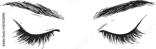 Closed eyes with long eyelashes and defined eyebrows, sketch hand drawn style. Vector illustration