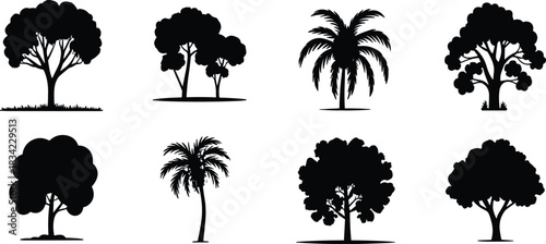 Set of Eight Black Silhouette Deciduous and Tropical Trees Vector Icons, Illustrating Nature, Palm, Landscape Design, Environment, Ecology, and Diverse Collection of Flora