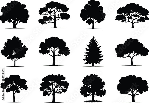 Collection of Twelve Diverse Black Silhouette Trees Vector Icons, Illustrating Nature, Ecology, Environment, Forest, Landscape Design Element, and Different Species