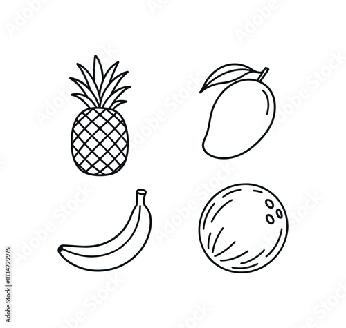 four tropical fruits pineapple mango banana coconut flat vector illustration clean black line art minimal detail no color white background handdrawn look isolated composition