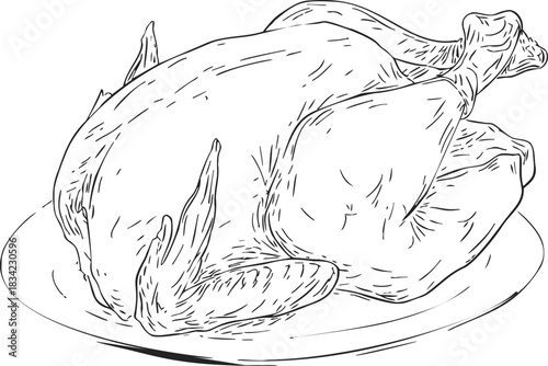 Roast chicken sketch, hand drawn style, whole bird on plate. Vector illustration