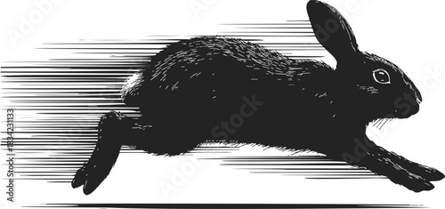 Rabbit running sketch, hand drawn style, dynamic motion lines, side view. Vector illustration