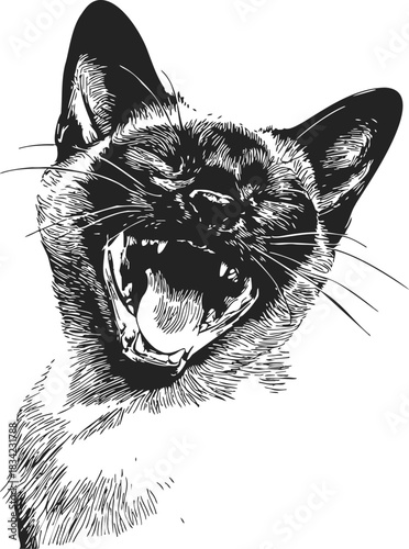 Cat yawning sketch hand drawn portrait with open mouth and whiskers. Vector illustration