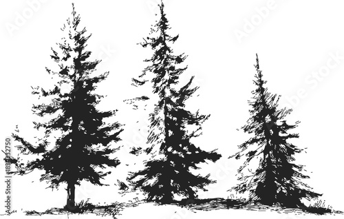 Pine trees sketch hand drawn group with detailed branches and textured foliage. Vector illustration