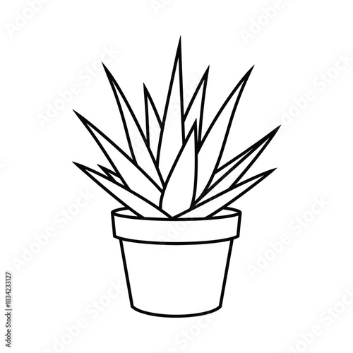 Simple line drawing of a potted succulent plant with spiky leaves in a pot