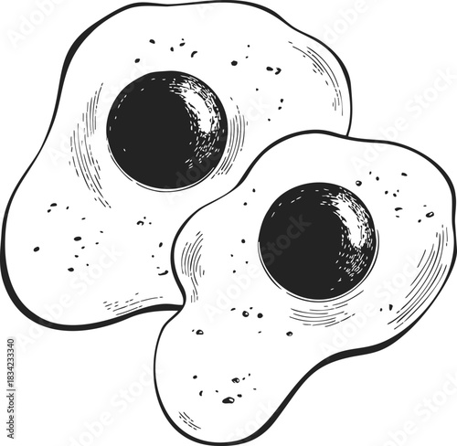 Fried eggs sketch hand drawn style with rustic texture details. Vector illustration