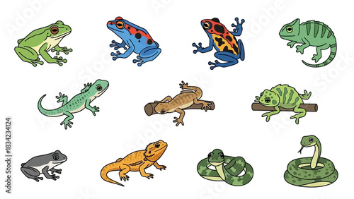 Diverse Reptiles and Amphibians Illustration Collection.