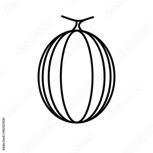 Simple outline drawing of a cantaloupe melon fruit
