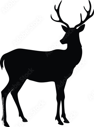 A black and white image of a person holding a white flower