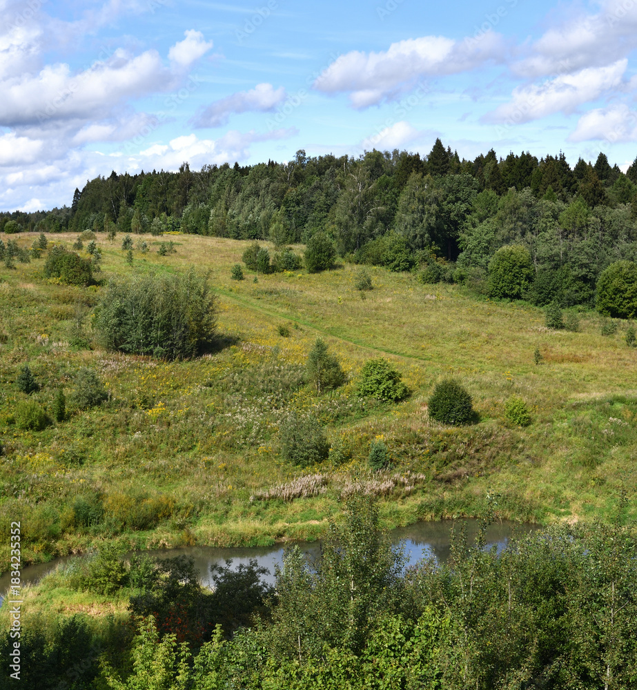 Obraz premium A panorama of a forest in the Krasnogorsk district of Moscow region, Russia.