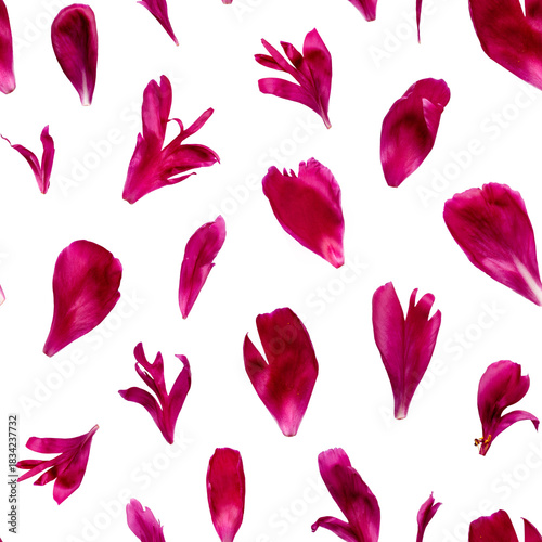 Elegant seamless pattern featuring individual red peony petals arranged on a white background. Ideal for romantic designs, fabric prints, packaging, wrapping paper and creative floral projects.