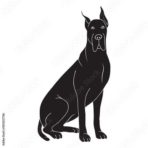 Sitting great dane dog black