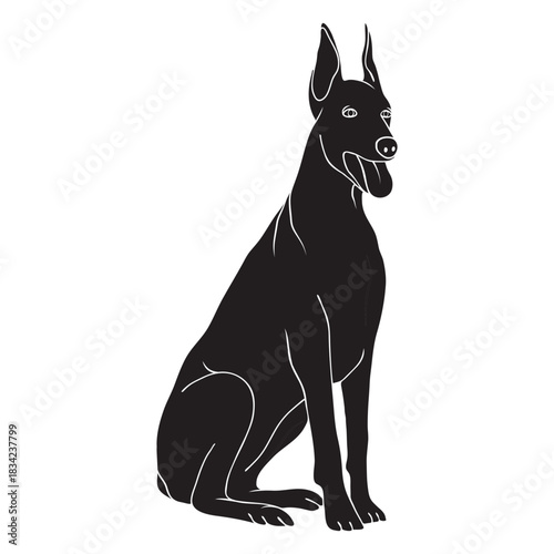 Sitting doberman dog black