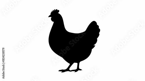 Black silhouette of a chicken standing on a white background
