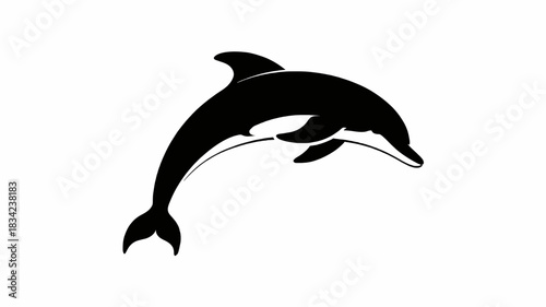 Black silhouette of a dolphin leaping out of the water