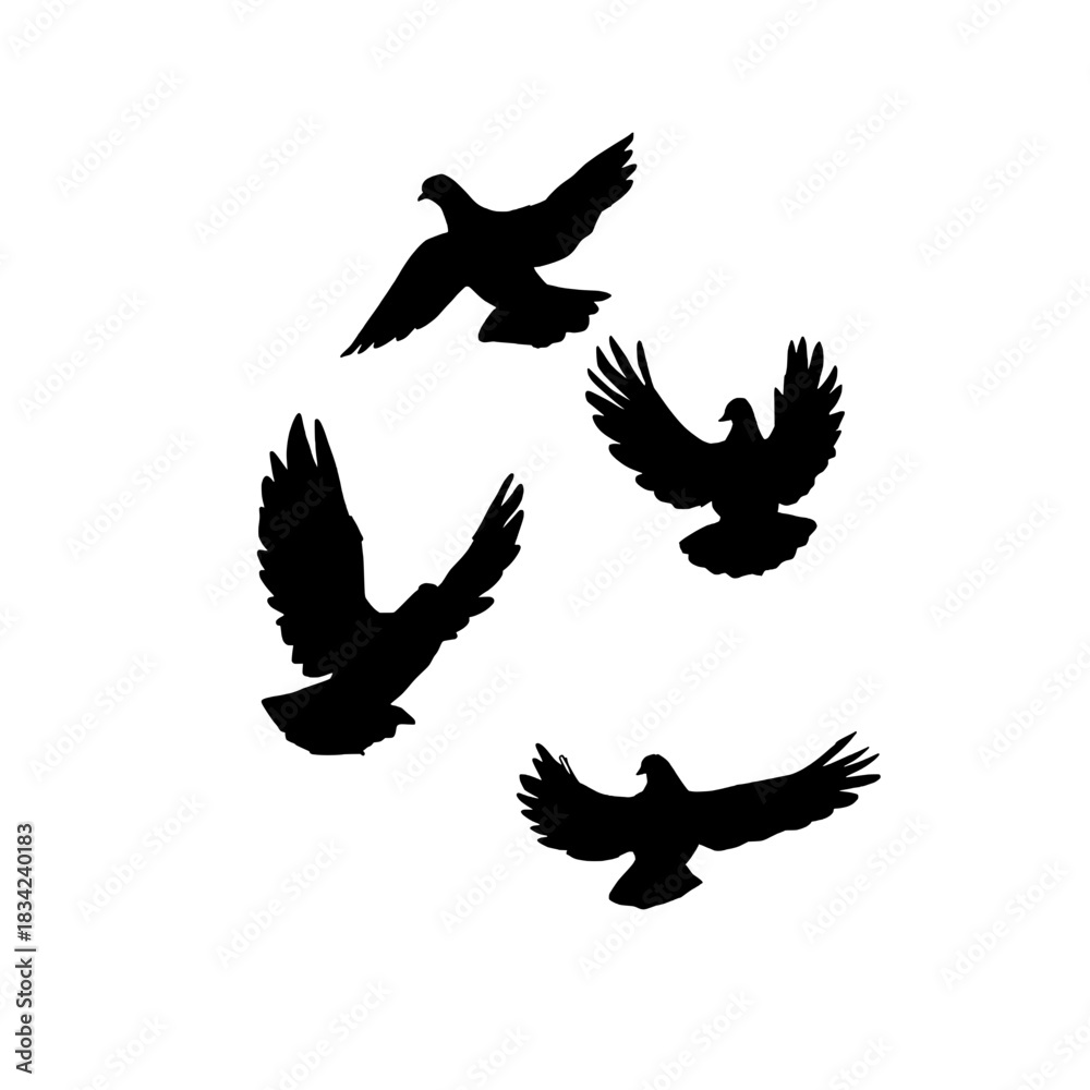 Fototapeta premium Set of Four Flying Bird Silhouettes Depicting Pigeons or Doves