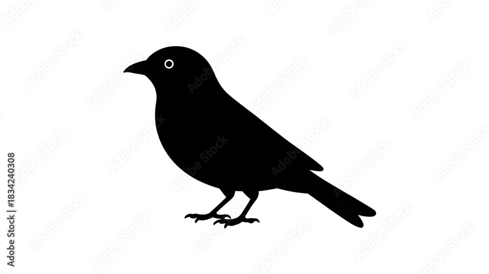 Obraz premium Black silhouette of a small bird with a white eye on a white background