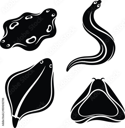 Black silhouettes of jellyfish, sea anemone, and coral reef organisms set.