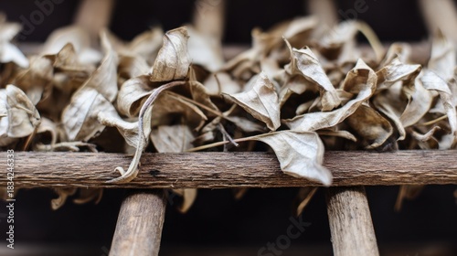 tolerable. Close-up of dried lovage leaves on a wooden rack with natural morning light. gardening catalogs, home-decor guides, designed for home decor and floral branding, used by sports marketers.