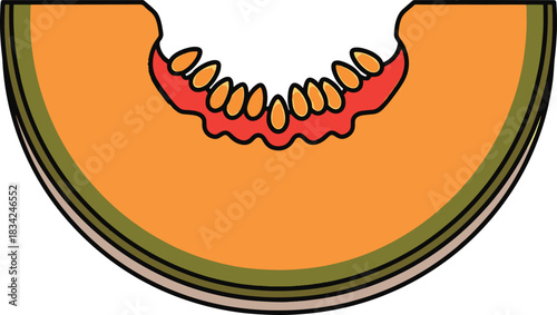 Orange Bitten Cantaloupe Melon Slice Illustration
