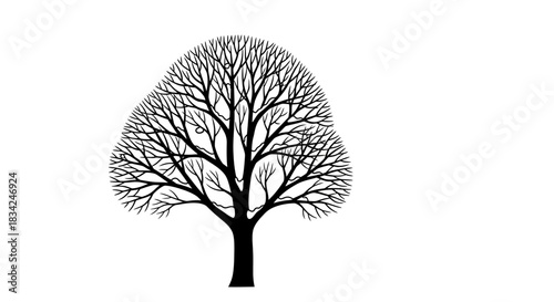 Bare Tree Silhouette Illustration – Minimalist Nature Graphic Design