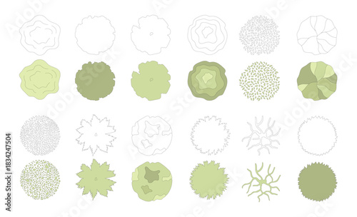 Top view trees for architectural plans and landscape design. Minimal vector illustration for urban planning, site plans, and architectural entourage.