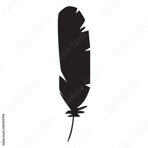 Realistic feather silhouette