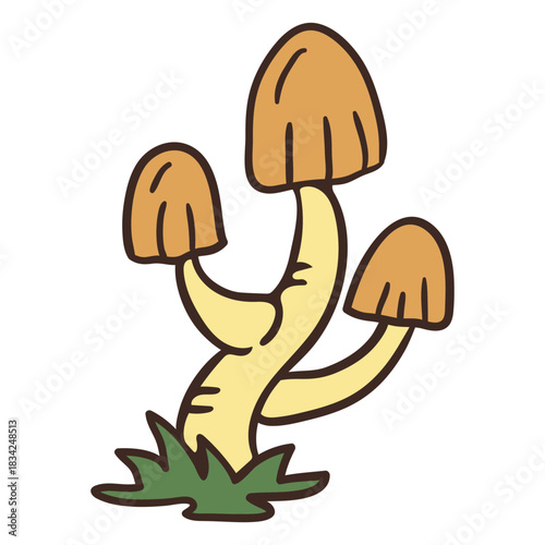 Tall fungus illustration