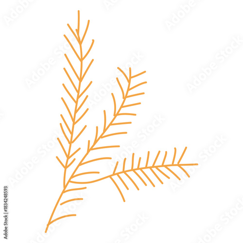 Autumn conifer branch cartoon