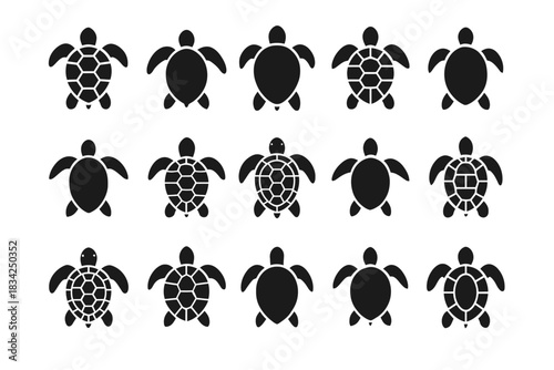 Silhouette patterns of turtles in diverse shell designs