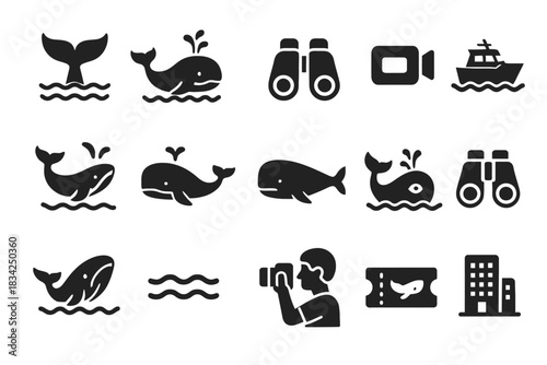 Marine icons featuring whales, binoculars, and boats in simple black style