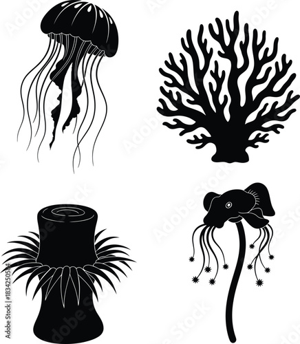 Black silhouettes of jellyfish, sea anemone, and coral reef organisms set.