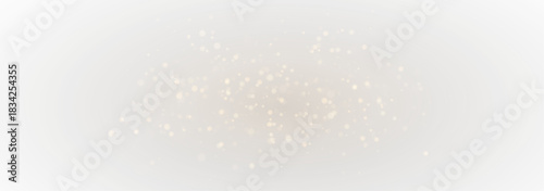 Golden Stardust Burst