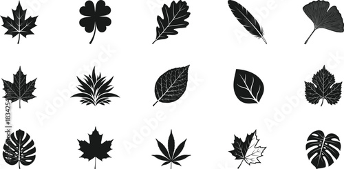Grunge leaf silhouette collection of various plant species