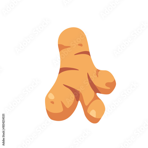 Fresh ginger root aromatic brown spice, isolated flat style vector illustration